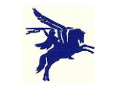 Paraguard Security logo