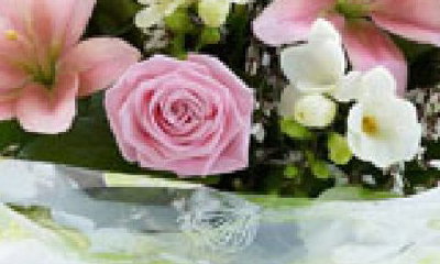 Stem By Stem Flowers