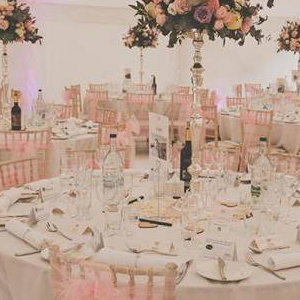 Pink Wedding Reception including flowers & chair sashes