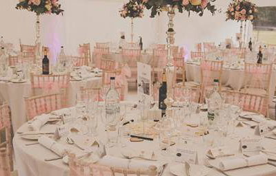 Pink Wedding Reception including flowers & chair sashes