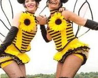 Bumble Bees!