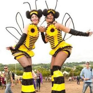 Bumble Bees!