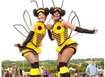 Bumble Bees!
