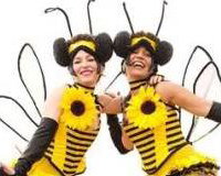 Bumble Bees!