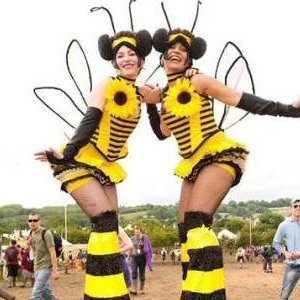 Bumble Bees!