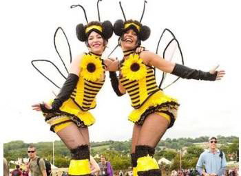Bumble Bees!