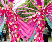 Birds of Paradise