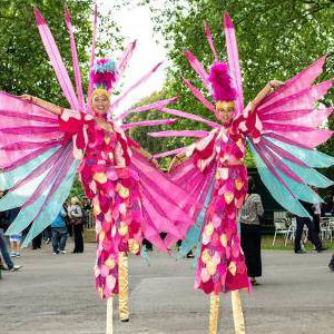 Birds of Paradise
