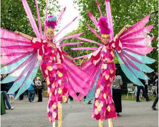 Birds of Paradise
