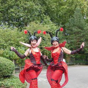 Ladybirds!
