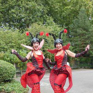 Ladybirds!