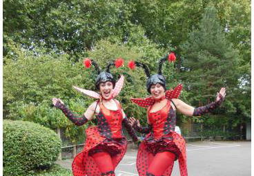 Ladybirds!