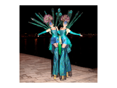Vertigo Stilts Ltd logo