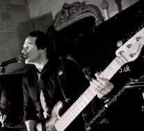 angus black and white