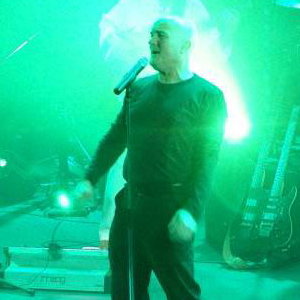 STILL COLLINS on STAGE