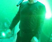 STILL COLLINS on STAGE