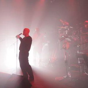 STILL COLLINS #1 Phil Collins Tribute Band