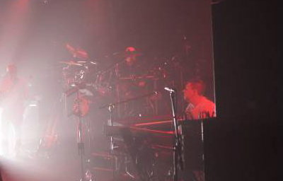 STILL COLLINS #1 Phil Collins Tribute Band