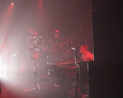 STILL COLLINS #1 Phil Collins Tribute Band