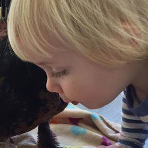 Sessions for pre-schoolers
