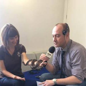 Guest on BBC Radio Kent in 2016 and 2017