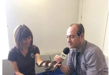 Guest on BBC Radio Kent in 2016 and 2017
