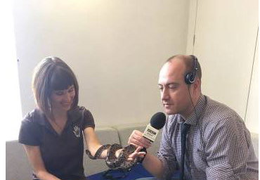 Guest on BBC Radio Kent in 2016 and 2017