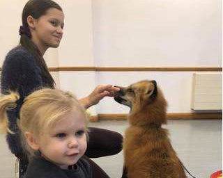 Vincent the fox