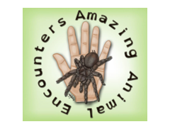 Amazing Animal Encounters logo