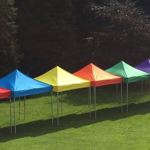 Multi colour row from above 2.jpg