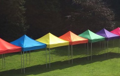 Multi colour row from above 2.jpg