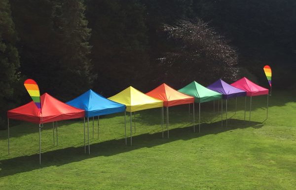 Multi colour row from above 2.jpg