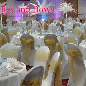 Full Set Up With Postrich Centres, Uplighters, Chair Covers Etc