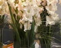 pale pink tall vases