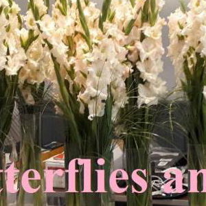 pale pink tall vases