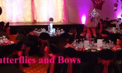 Butterflies And Bows