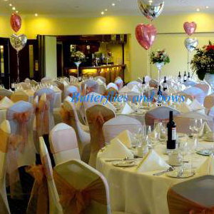 Coral Wedding Full Set Up