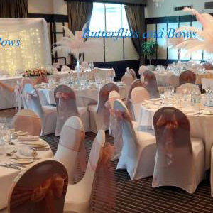 Ostrich Feathers With Backdrop and Chair Covers Full Set Up 