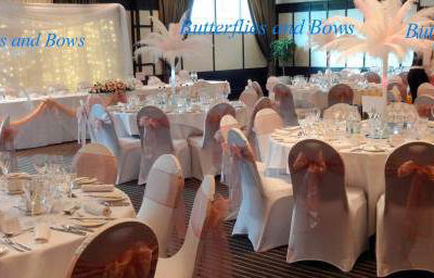 Ostrich Feathers With Backdrop and Chair Covers Full Set Up 