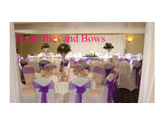 Butterflies And Bows logo