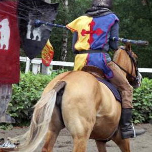 Jousting School 