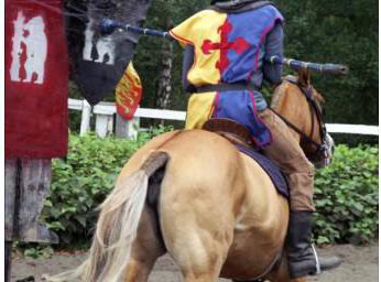 Jousting School