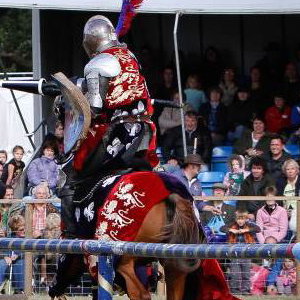 Shows