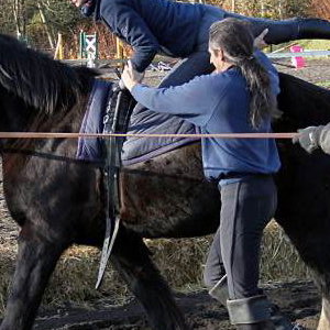 Trick Riding