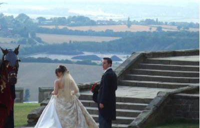 Weddings