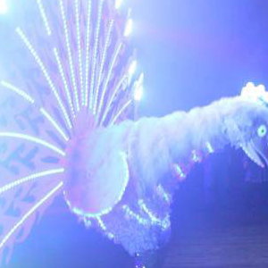 power peacock