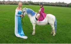 Clip Clop Pony Rides