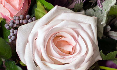 Van Wonderen Flowers
