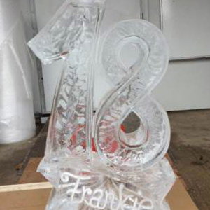 18 Birthday Luge All Number Can Be Done 
