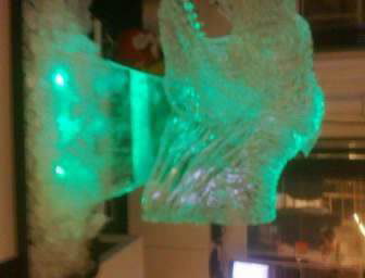 T- Rex Ice Carving Birthday 